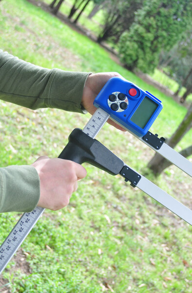 tree measure instrument