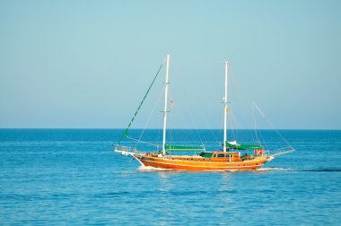 Deniz botu