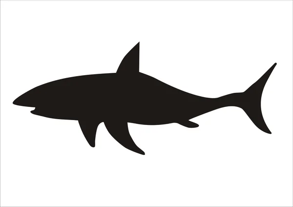 Köpekbalığı uyarı bayrağı — Stok fotoğraf