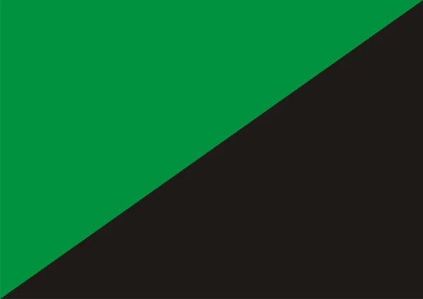 Bandeira do anarquismo verde — Fotografia de Stock