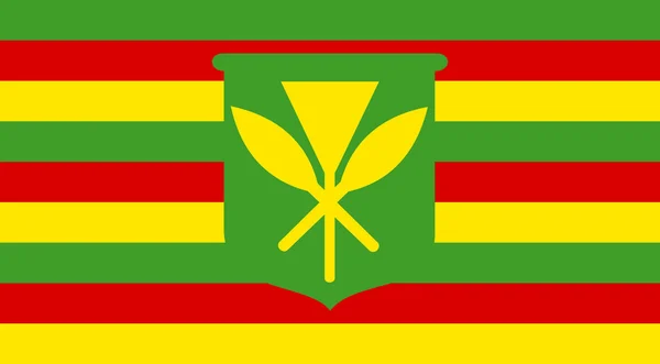 Bandeira kanaka maoli — Fotografia de Stock