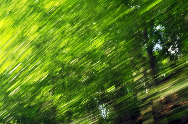 Geschwindigkeit Natur — Stockfoto