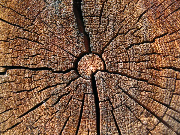 Estructura del tablero de madera —  Fotos de Stock