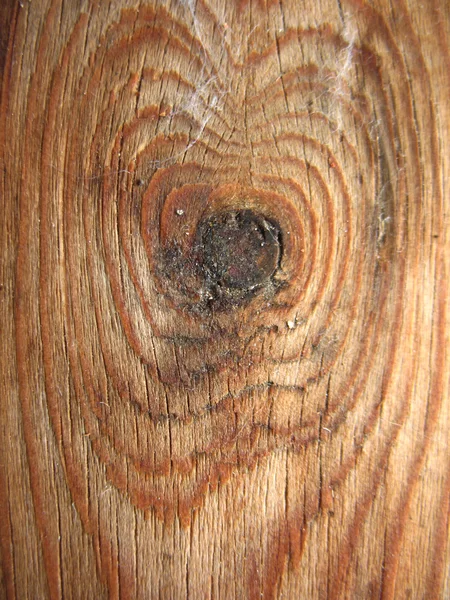 Struktura zarządu drewna — Zdjęcie stockowe