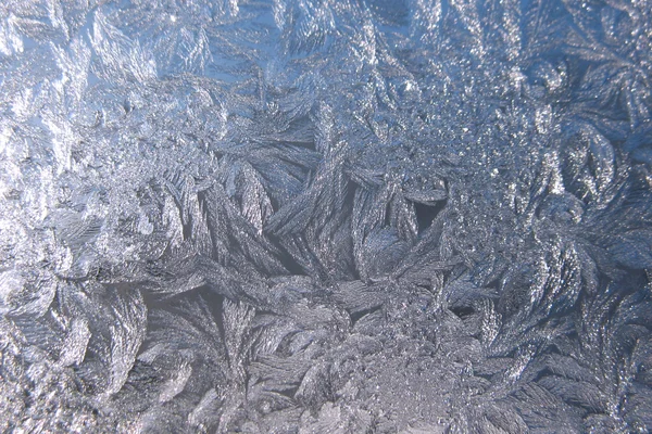 Frozen winter window Stock Image