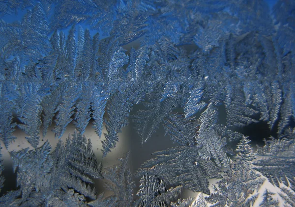 Frostmønster i vintervindu – stockfoto