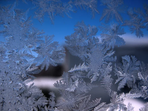 冬季窗上结霜的图案 — 图库照片