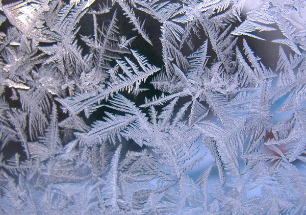 冷冻的冬季窗口 — 图库照片