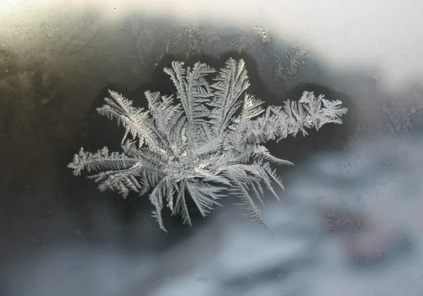Bevroren winter venster — Stockfoto