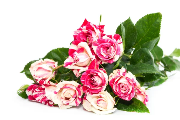 Bukett med vackra rosor. — Stockfoto