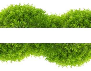 green tree foliage band isolated on white clipart