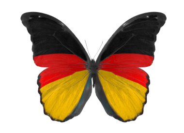 Almanya bayrağı renkleri kelebek