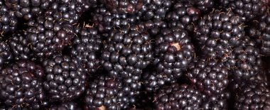 karanlık RIP blackberry arka plan