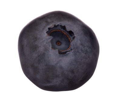 izole üzerinde beyaz tek yaban mersini