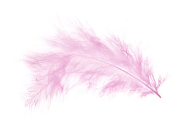 hafif pembe tüy üzerinde beyaz izole