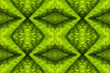 soyut yeşil doğa arkaplanı