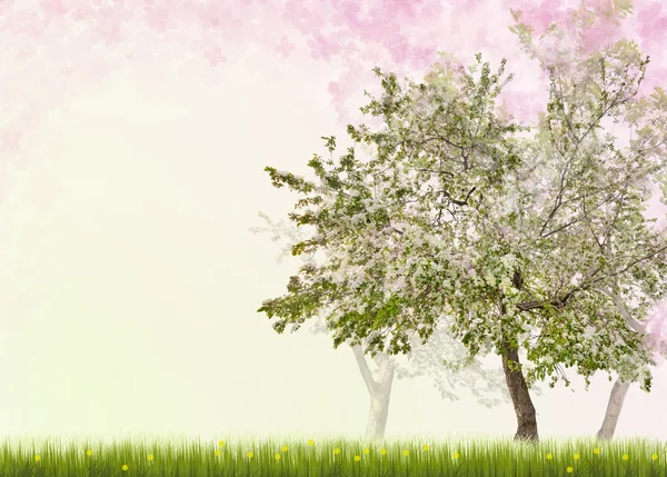 Яблони с цветами в зеленой траве — стоковое фото