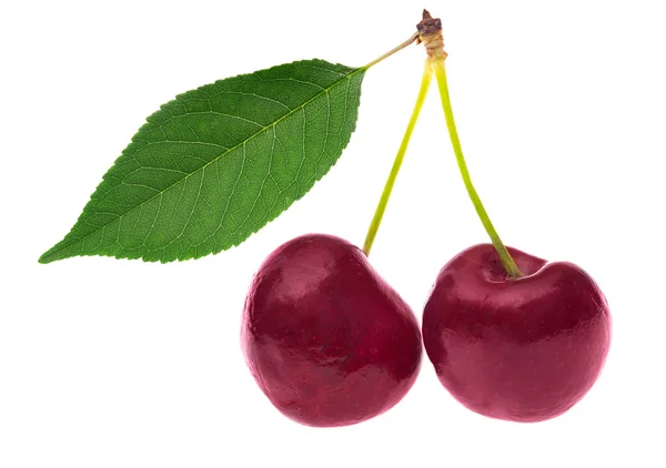 Couple sweet cherries with leaf — Stock Photo, Image