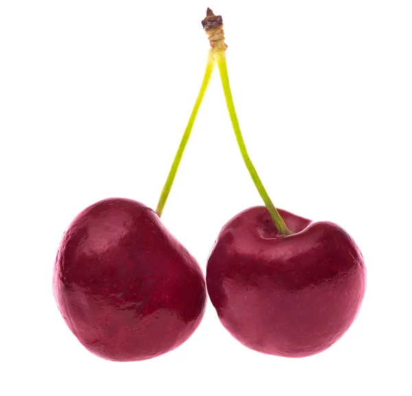 Couple isolate sweet cherries — Stock Photo, Image