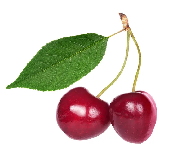 Isolated couple of red cherries with leaf — Stock Photo, Image