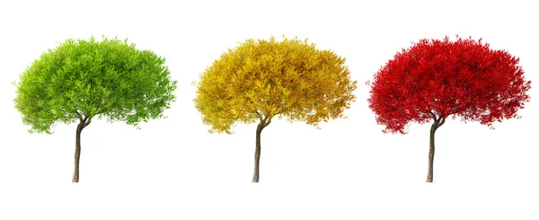 Árbol de tres colores aislado en blanco —  Fotos de Stock