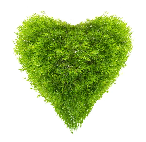 Heart from green leaves isolated on white — Stock Photo, Image