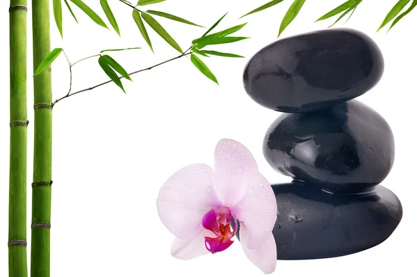 Композиція з чорними каменями, бамбуком і орхідеєю — стокове фото