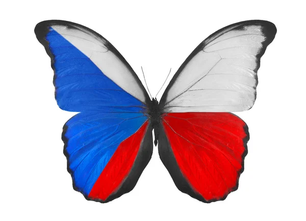 Butterfly in Czech Republic flag colors — Stock Photo, Image