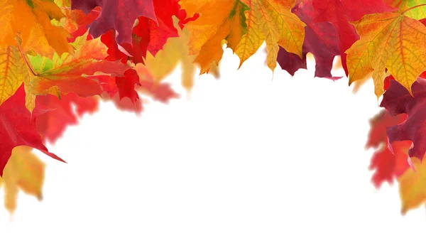 Vícebarevná podzimní Javorové listy poloviční rámeček — Stock fotografie