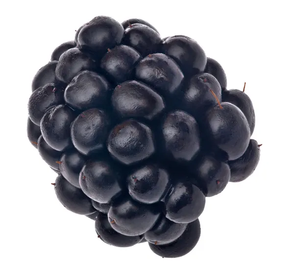 Één blackberry geïsoleerd op wit — Stockfoto