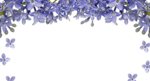 Blue lilac flower frame — Stock Photo, Image