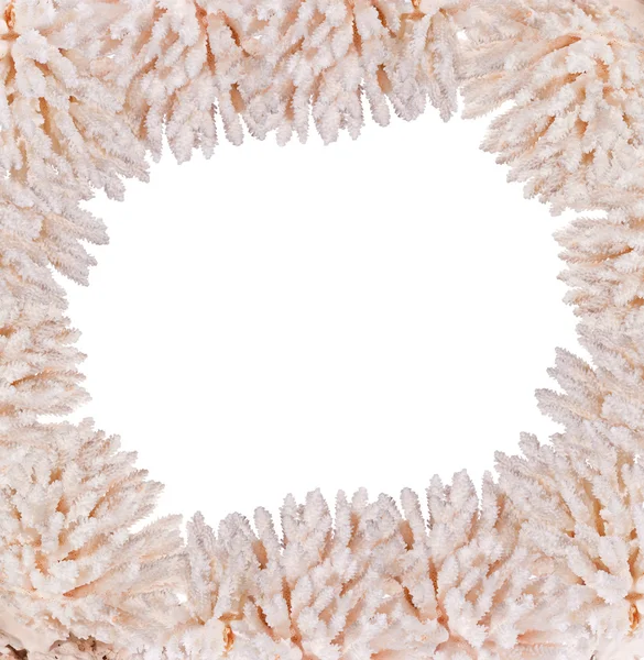 Light coral frame isolated on white — Stock Photo, Image