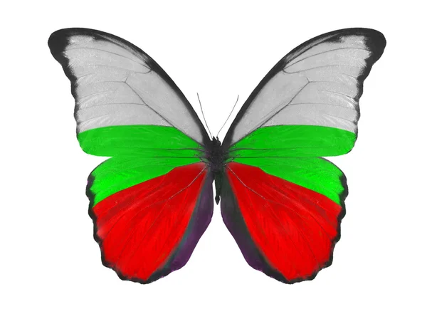 Utterfly in Bulgaria flag colors — Stock Photo, Image