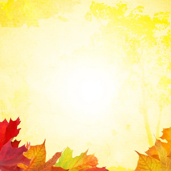 Composição outono vermelho e amarelo com folhas — Fotografia de Stock