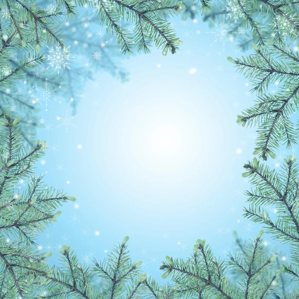 Fir branch frame and snowflakes — Stock Photo, Image