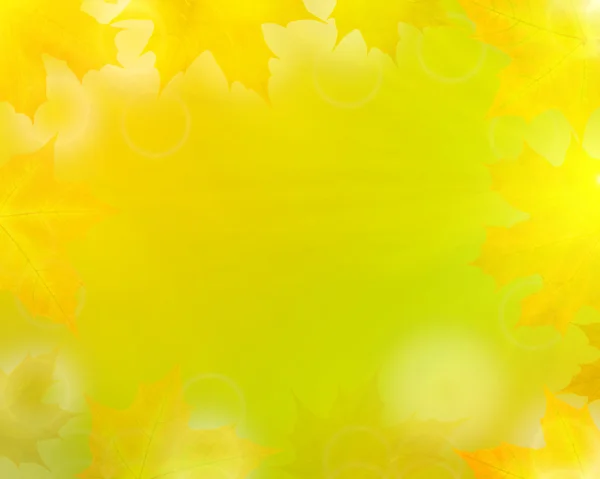 Abstracte gouden esdoorn bladeren achtergrond — Stockfoto