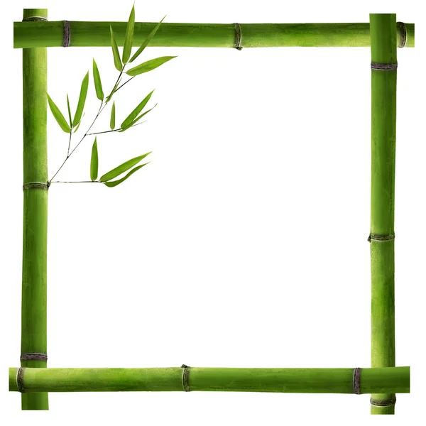 Square frame from green bamboo stems on white — Stock Photo, Image