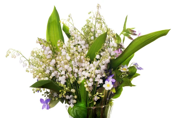 Bouquet de fleurs forestières isolé sur blanc — Photo