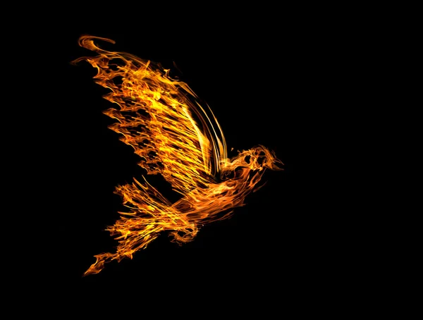 Flame flying dove isolated on black — Stock Photo, Image