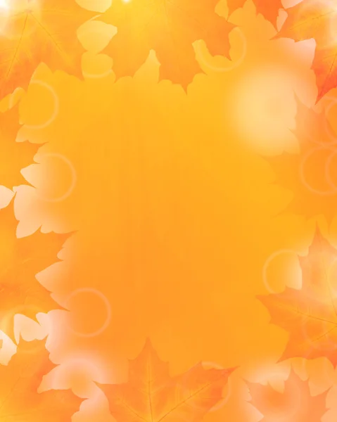 Abstract orange maple leaves background — Stock Photo, Image