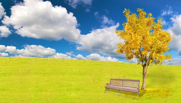Golden autumn tree and bench under blue sky — Stock Photo, Image