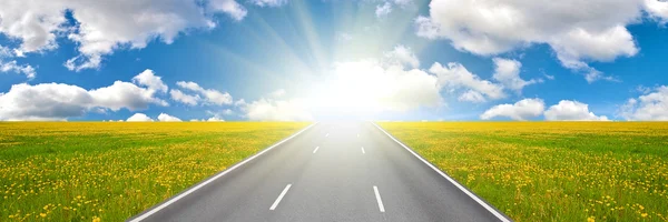 Road to sun and yellow dandelions field — Stock Photo, Image