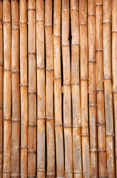 Old dry bamboo background — Stock Photo, Image