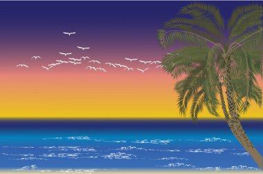 palmiye ağacı ve kuşlar deniz günbatımı