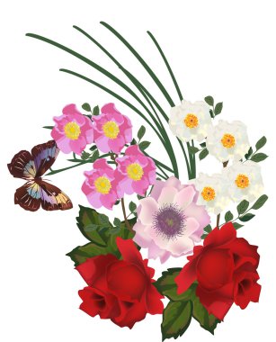 Kelebek rose yakın ve brier çiçekler