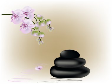 pembe orkide şube ve siyah taşlar