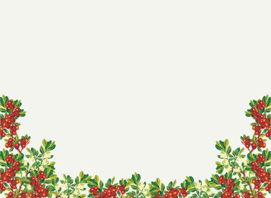 dağ kızılcık dalları yarım çerçeve