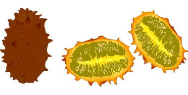 llustration kawani salatalık ile