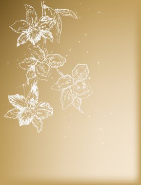 kahverengi beyaz orkide çiçek kroki