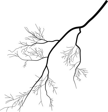 Tek Siyah Yıldırım üzerinde beyaz izole